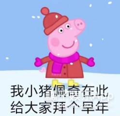 纪梵希guccit恤,gucci设计动物灵感