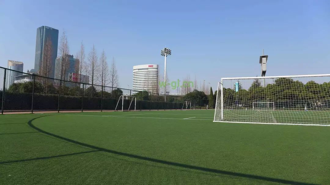 广西2025体育多少项,未来广西足球