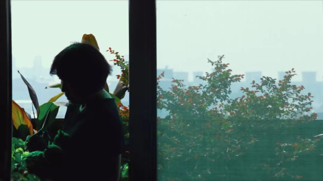 龙应台的小说目送全文,龙应台生平故事