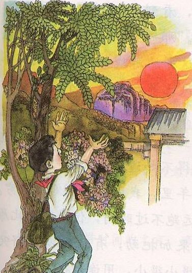 台湾作家林清玄葬礼,台湾作家林清玄的照片大全