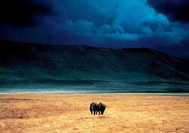 足够艳！啧啧，看“色彩之王”皮特玩转红黄蓝