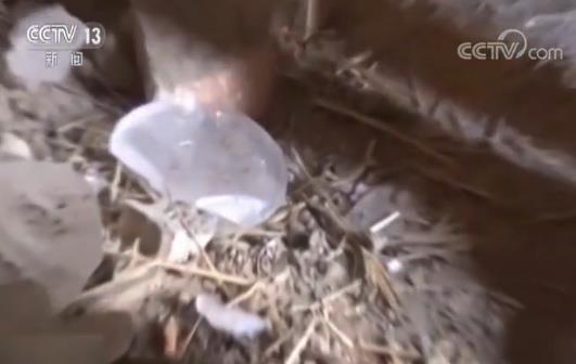 冲水式厕所改造,改造厕所如何解决上厕所问题