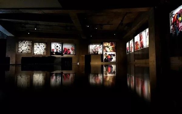 荒木经惟镜头里的许晴,许晴快50岁了日常生活照还这么美