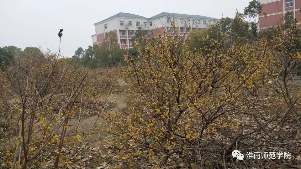 在师院，我想陪你从A走到Z