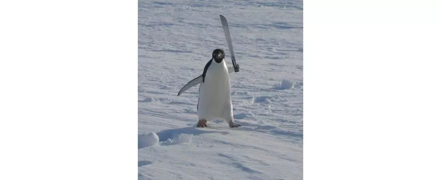 怎样通过闲鱼赚钱,怎么通过闲鱼赚钱