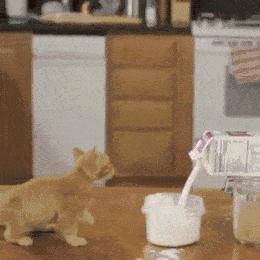 6种饮品悄悄喝出健康隐患,适合长期喝的六种饮品