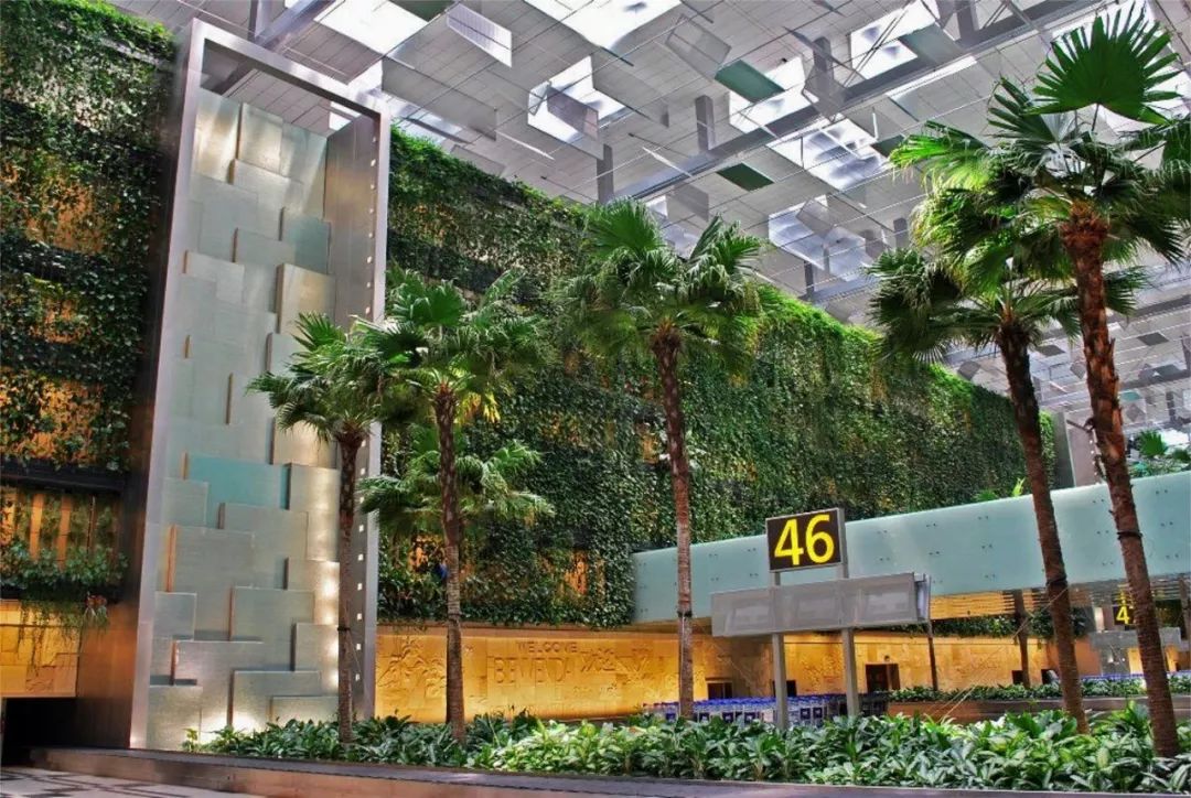 雅诗兰黛sk2怎么便宜了,skii和雅诗兰黛哪个更好