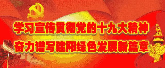 福建建阳武夷味精,闽北日报特刊