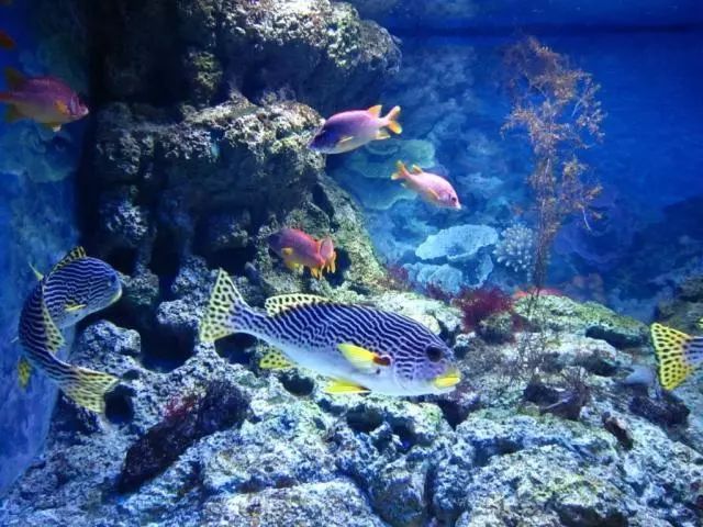 1640元！徐州人可以直飞新加坡了！鱼尾狮像、环球影城、肉骨茶，走起……