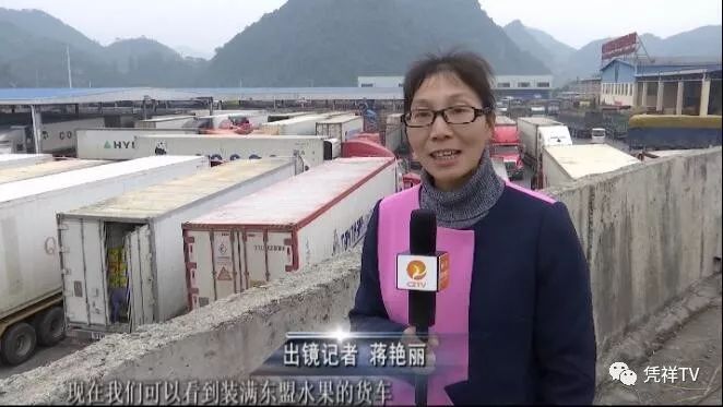 东盟水果蔬菜市场,东盟水果交易市场榴莲批发