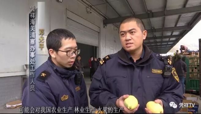 东盟水果蔬菜市场,东盟水果交易市场榴莲批发