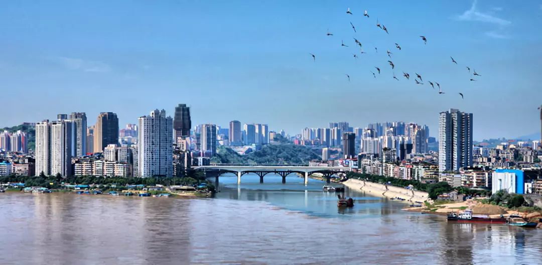 浓香鼻祖是什么酒,浓香鼻祖是谁