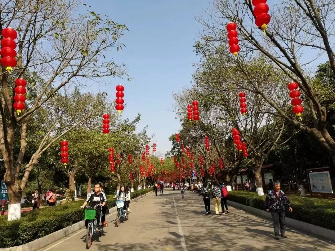 番禺夜景好玩的地方,广州增城网红打卡地夜景