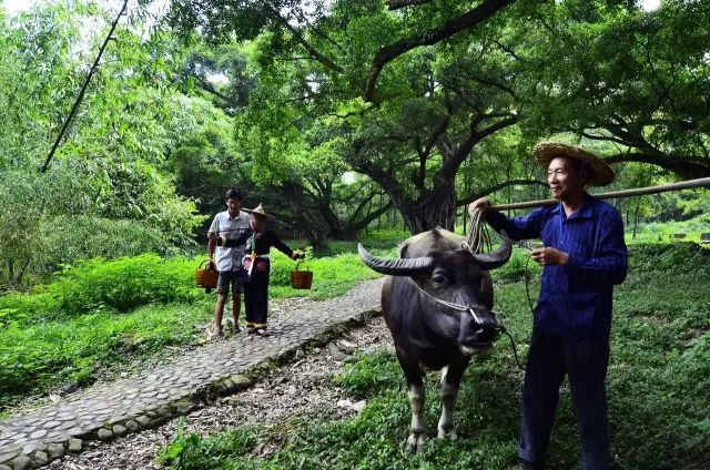 假照片有哪些骗局,那些假照片的背后