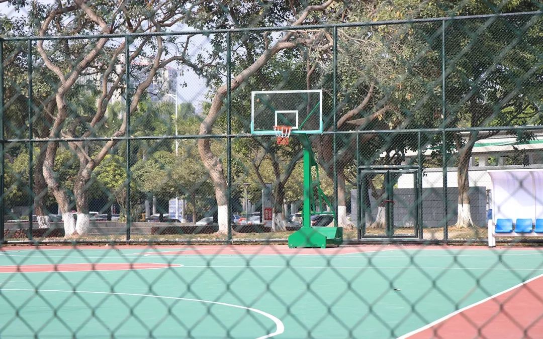 增城附近有什么好玩的休闲娱乐,增城娱乐的地方