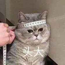 被蚊子咬了痒怎么快速止痒,被蚊子咬了挠痒动作