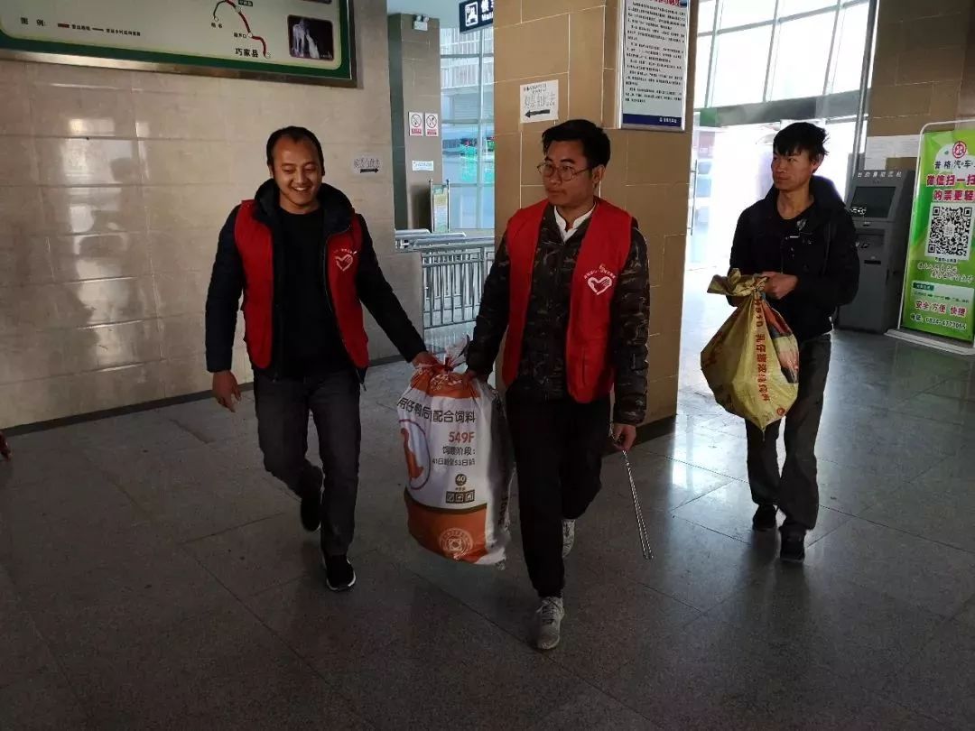 推荐｜团团的问候：你已经回家了吗？