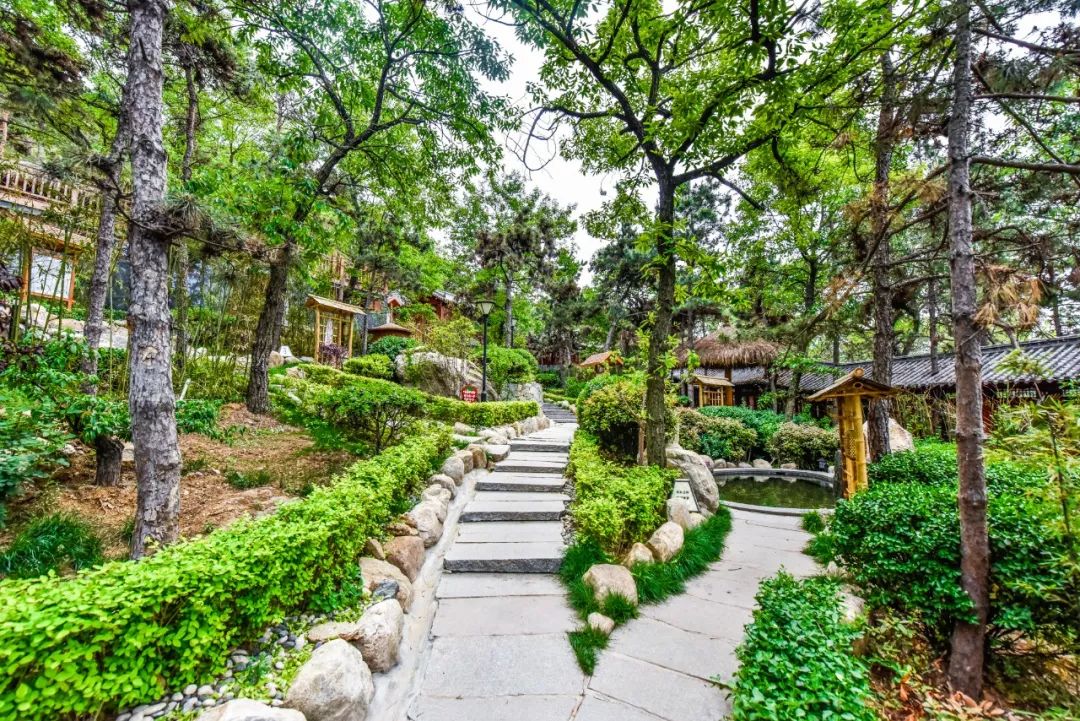 2月6-10（天天发班）蒙山（航天）康谷温泉度假村纯玩一日游——泡五星级露天温泉、赏山林间翠竹五星级中国长寿温泉128元