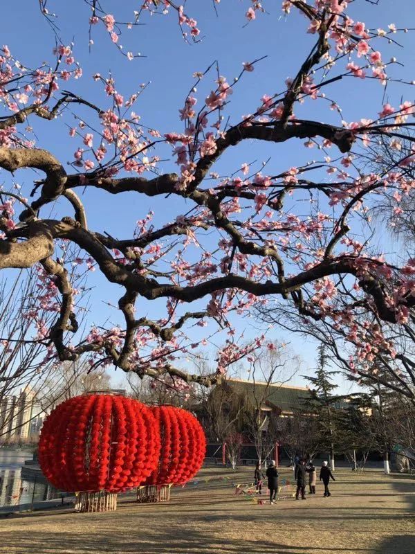 飞驰人生？不如走遍涿州+北京年味最浓的这几个地方，最后一个你肯定猜不到……