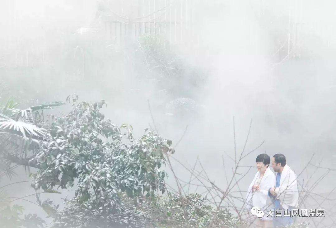 太白山景区直通车,动车去太白山凤凰温泉怎么方便