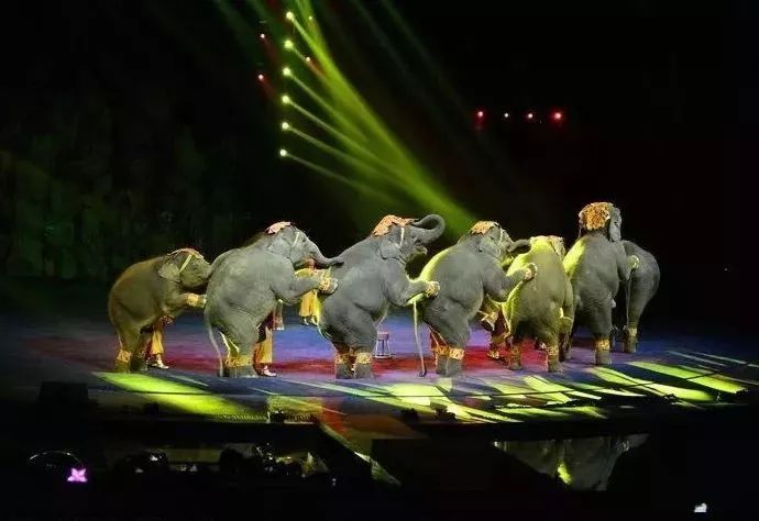 飞驰人生？不如走遍涿州+北京年味最浓的这几个地方，最后一个你肯定猜不到……