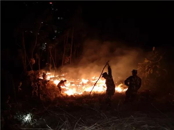 消防官兵扑灭森林大火视频,各地山火扑救情况