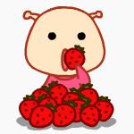 大连摘草莓一日游,大连摘草莓适合去的地方