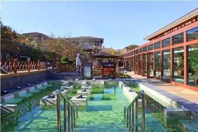 大连摘草莓一日游,大连摘草莓适合去的地方