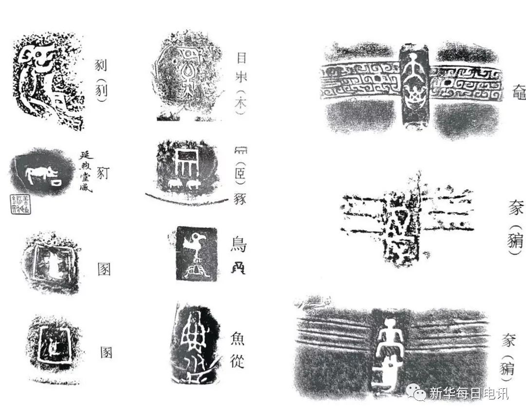 猪年的吉祥物叫什么,寻找鼠年吉祥物