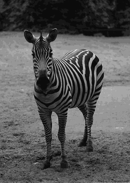 这40个冷知识据说只有1%的人知道 (古代100个绝对颠覆你认知的冷知识)