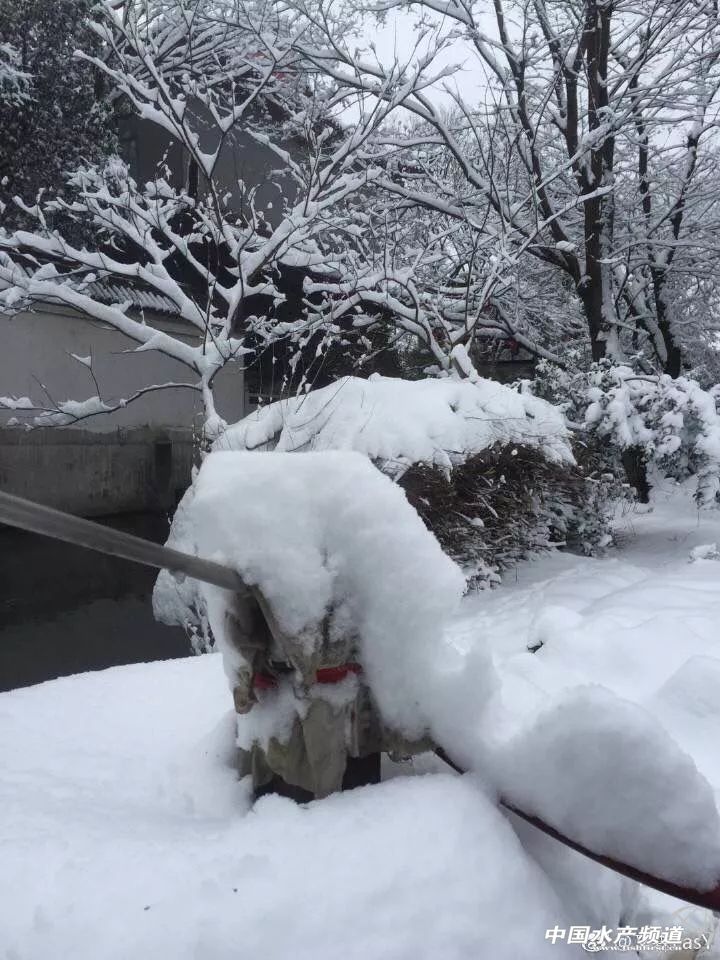 超强雨雪来袭大暴雪,超强台风桑美登陆最大风力17级