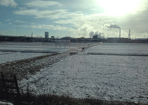 过完年你还回来吗,过完年你还走么