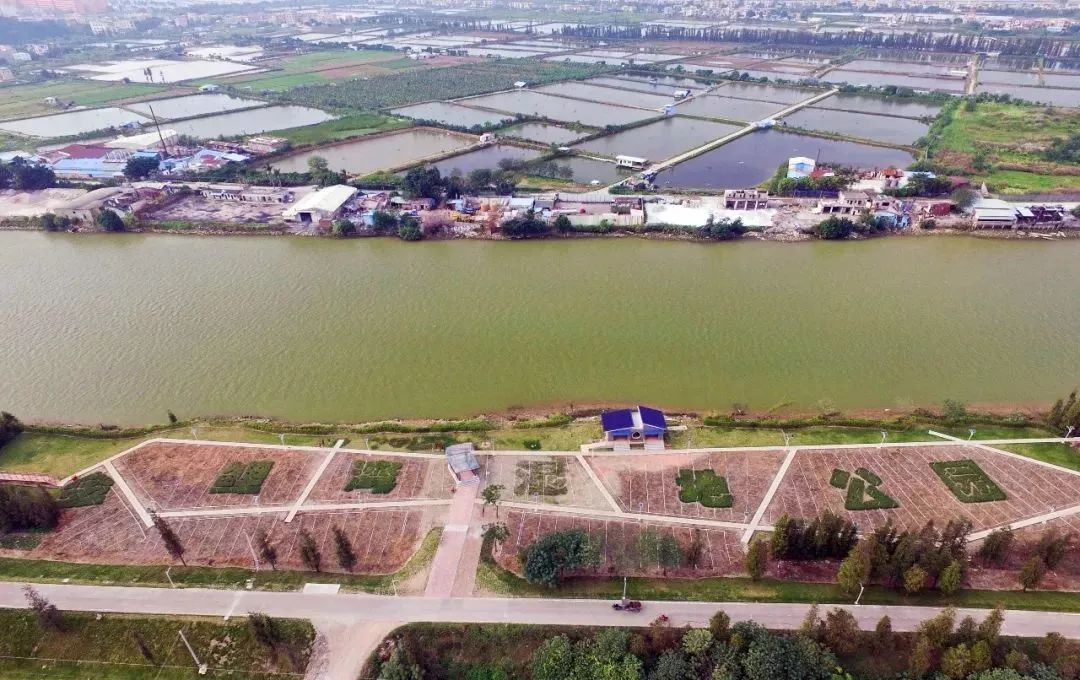 中山最美的免费公园,中山十大免费公园