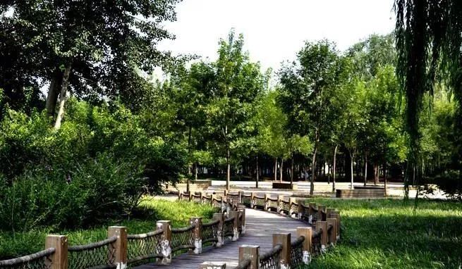 北京景点60周岁哪些免费,北京夏天旅游攻略免费景点