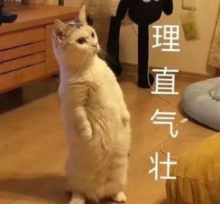 为什么化了妆像变了一个人,为什么化出来的妆老是浮粉