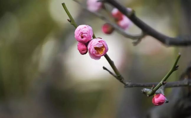 假期没玩够文旅,春节假期没有好好享受