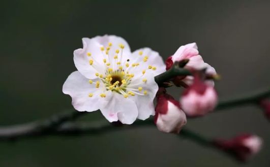 假期没玩够文旅,春节假期没有好好享受
