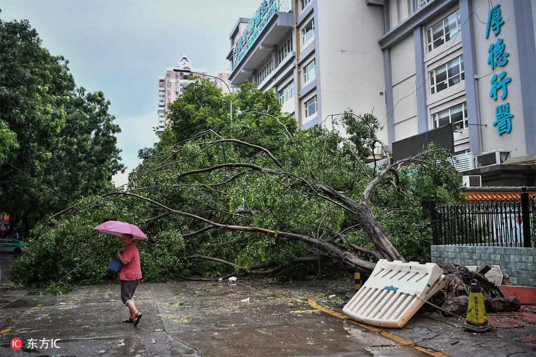 钟振彬:在俄罗斯,我真的拼了命|东方IC摄影师自选辑