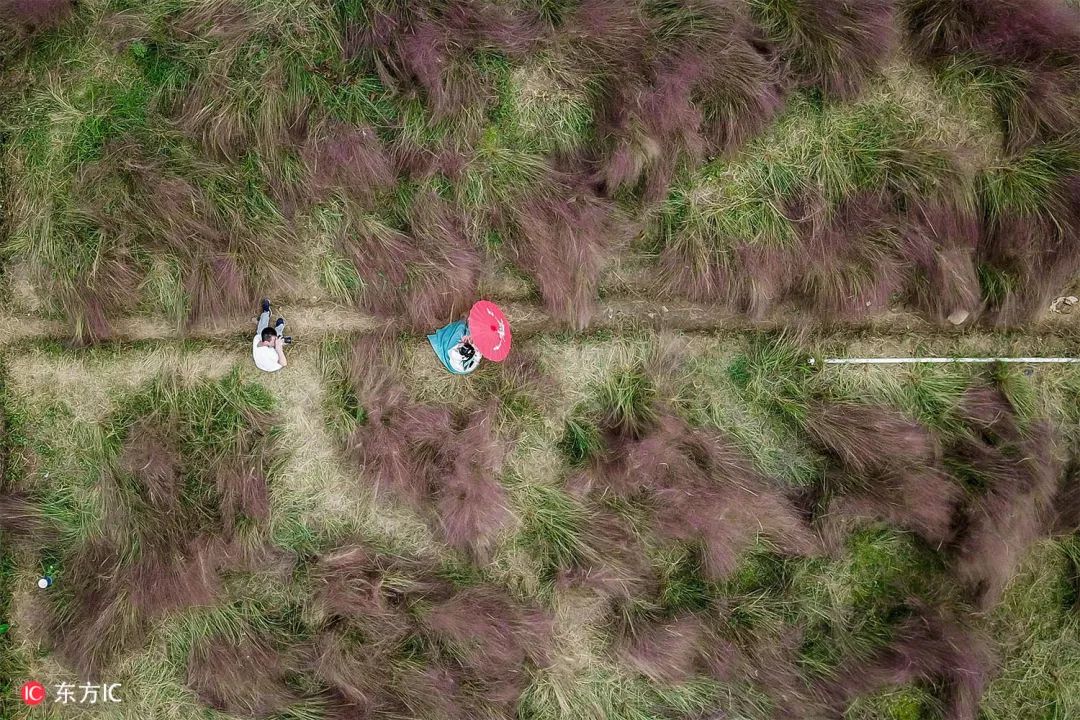 钟振彬：在俄罗斯，我真的拼了命｜东方IC摄影师自选辑