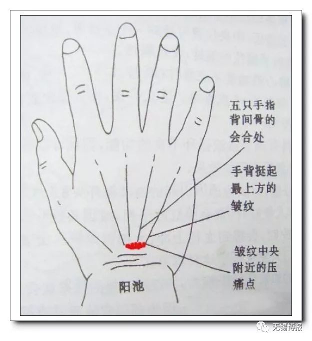 名老中医手足冰凉泡脚方,中医陈明教授驱寒泡脚方