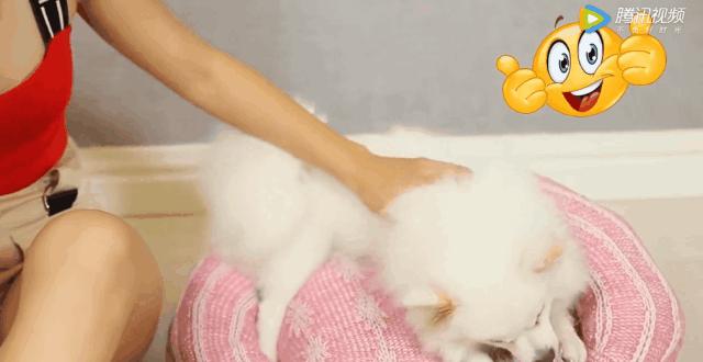 旧毛衣先别扔剪一刀美翻了,旧毛衣一件变两件