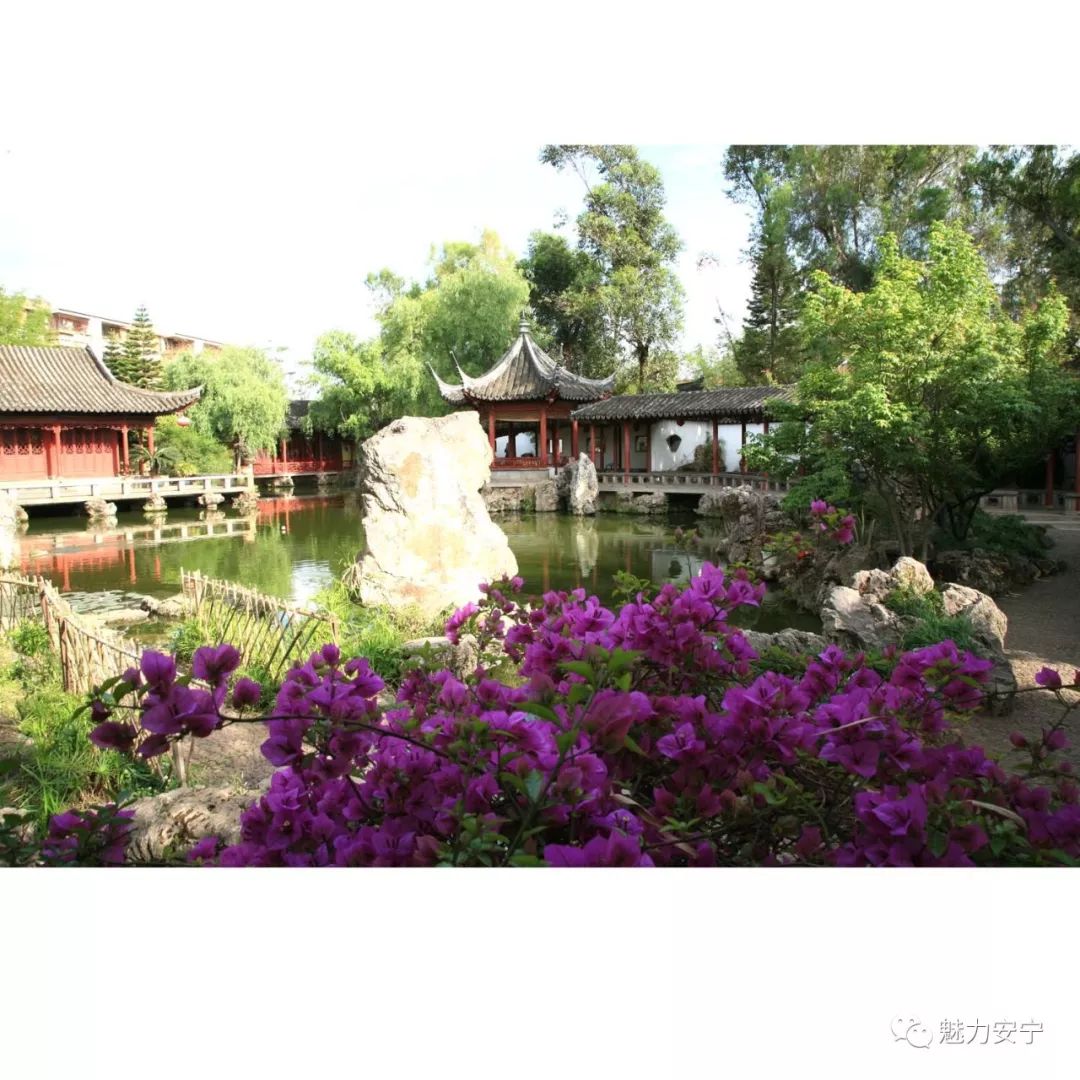 「安宁之美」几多泉石能忘我何处园林不忆君——小记园林第一人陈从周造云南第一园楠园