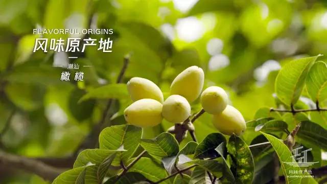 被Netflix买断全球版权！这部陈晓卿新出的纪录片要去征服世界吃货了！