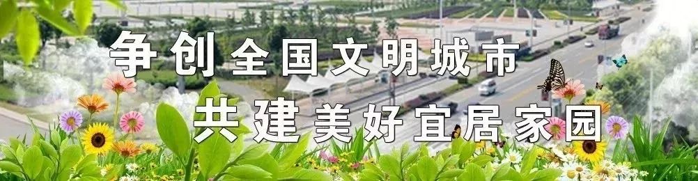 买不到火车票有什么办法上车,手机买不到火车票怎么回事
