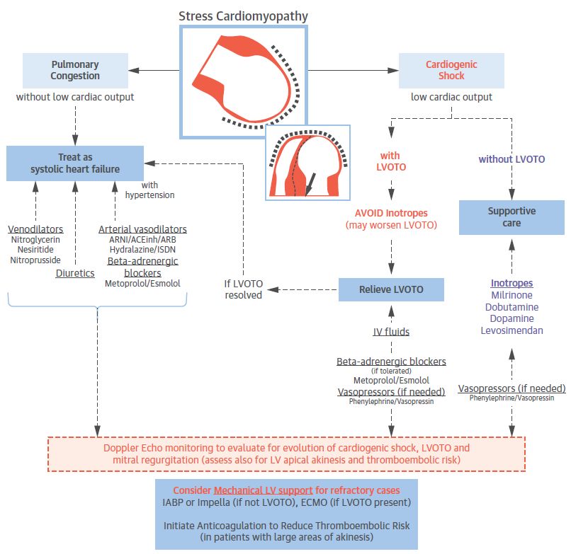 应激性心肌病mr诊断,应激性心肌病指南解读