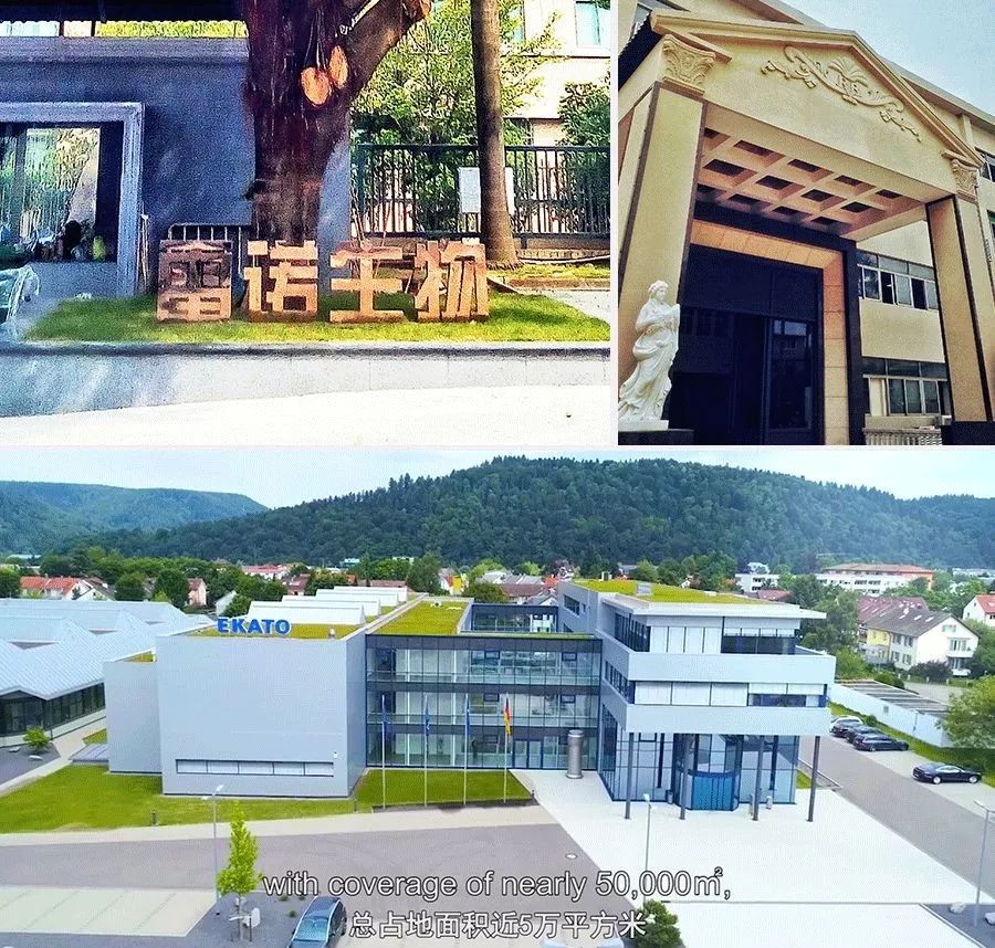 杨紫法令纹填充过多像小猴子,杨紫法令纹和嘴角纹怎么这么深