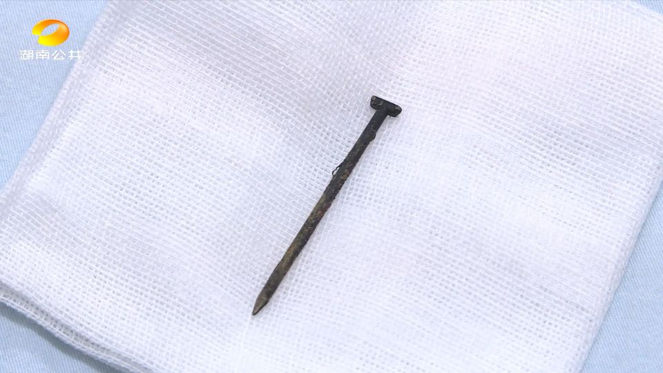 丁丁历险记一年级下册,丁丁历险记少年版