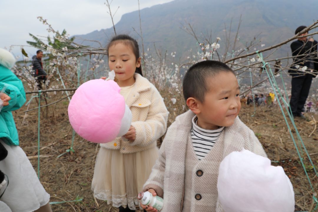 发耳镇樱桃花航拍视频出炉！敢不敢来行一场飞花令？开始！