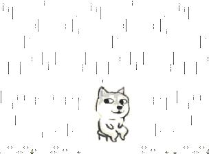 雨季衣物除湿,潮湿天气怎么除湿防霉