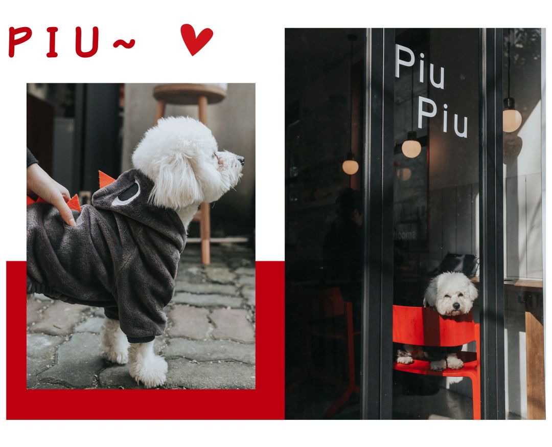 魔都咖啡地图,魔都人气咖啡图鉴